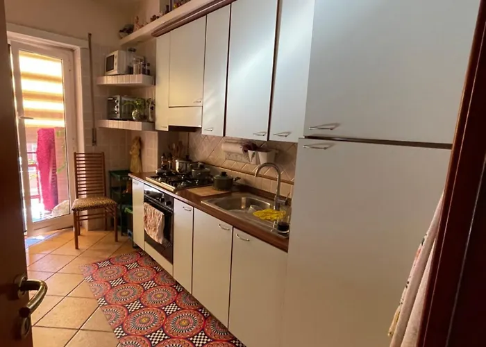 Exotic Apartment